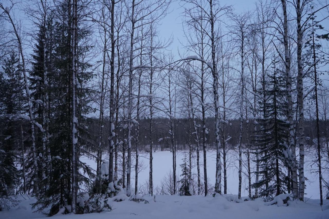 Вилла Raekkipirtti Луосто Экстерьер фото