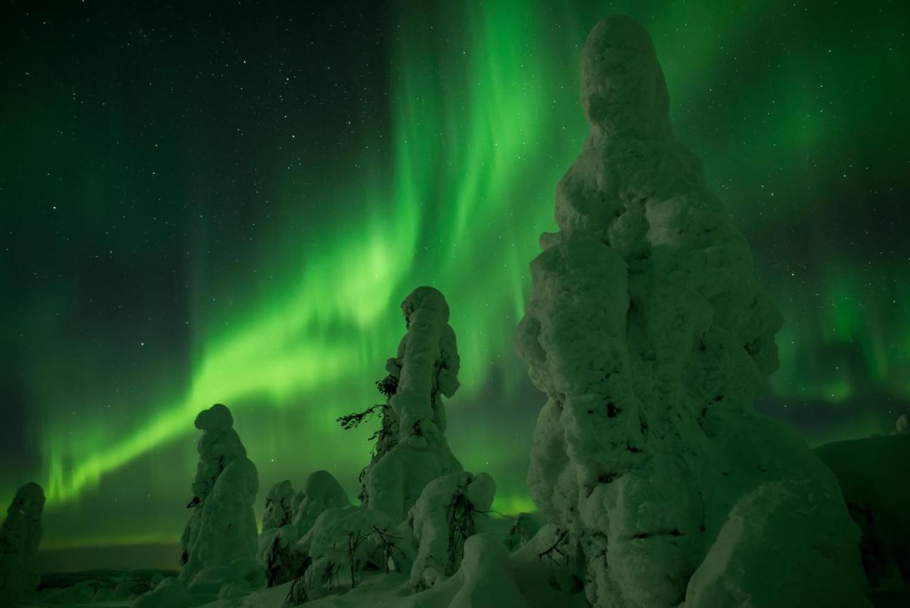 Вилла Raekkipirtti Луосто Экстерьер фото