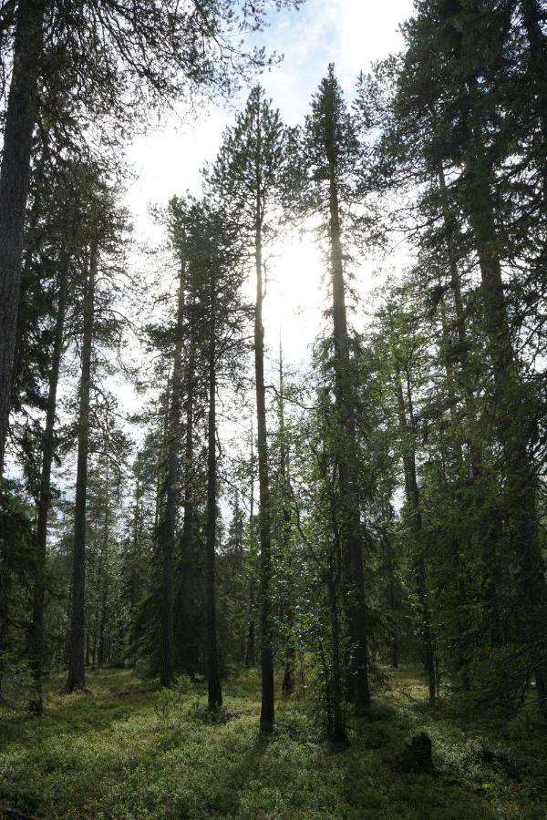 Вилла Raekkipirtti Луосто Экстерьер фото